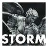 About Storm-Paradigm Edit Song