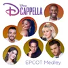 About EPCOT Medley Song