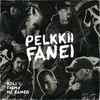 About Pelkkii Fanei Song