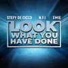 About Look What You Have Done Song