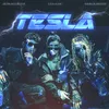 About Tesla Song