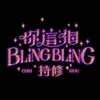 About 你這個BlingBling Song
