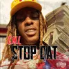 About Stop Dat Song