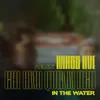 About In the Water MASS AVE Remix Song