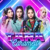 About Tara Song