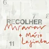 About Recolher Song