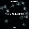 About Sig Sauer Song