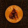 About Run Dingo Song
