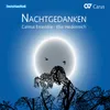 Traditional: Nachtgesang des Kammervirtuosen