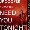 About Need You Tonight-Luca Schreiner Remix Song