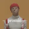 Promiň