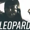 About Leopard Song