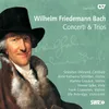 W.F. Bach: Harpsichord Concerto in G Minor - II. Adagio