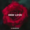 About New Love Song