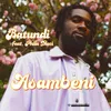 About Asambeni Song