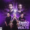 About Tamo De Volta Song