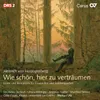 Herzogenberg: 6 Mädchenlieder, Op. 98 - I. Der Traum