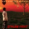 About Stolen Fruit Song