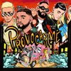 About Provocarme Song