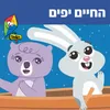 About החיים יפים Song