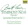 Beethoven: Symphony No. 6 in F Major, Op. 68 "Pastoral": V. Shepherd's Song. Happy, Grateful Feelings After the Storm. Allegretto