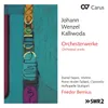 Kalliwoda: Introduction and Variations for Clarinet and Orchestra in B Major, Op. 128 - Allegro agitato - Tema. Allegretto grazioso