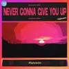 About Never Gonna Give You Up Song