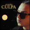 About Culpa Song