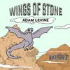 About Wings Of Stone Song