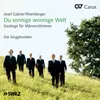 Rheinberger: 7 Gesänge, Op. 185 - V. Singvöglein, sing