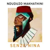 About Senze' Nina Song