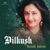 Bujh Gaya Dil Album Version