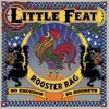 About Rooster Rag Song