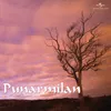 Je Bojhe Na Habvab Punarmilan / Soundtrack Version