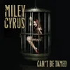 About Can't Be Tamed Song