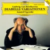 About Variation XXII (Allegro molto): Alla "Notte e giorno faticar" di Mozart Song