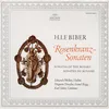 About Biber: Sonata VII: The Scourging of Jesu (from: 15 Mystery Sonatas) - 2. Sarabande - Variatio I-III Song