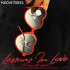 Lessons In Love (All Day, All Night) Album Version