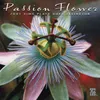 Passion Flower