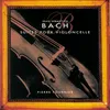 J.S. Bach: Suite for Cello Solo No. 2 in D minor, BWV 1008 - 4. Sarabande