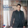 A. Scarlatti: Carlo re Allemagna - Critical Edition Dr. Alessandro Borin - "Del ciel su sui giri"