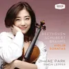 Beethoven: Sonata for Violin and Piano No. 5 in F, Op. 24 - "Spring" - 2. Adagio molto espressivo