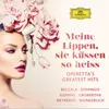 Kálmán: Gräfin Mariza - Operetta in 3 Acts / Act I: Wenn es Abend wird - Grüß mir mein Wien Live