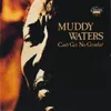 Muddy Waters Shuffle