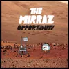 Opportunity Report