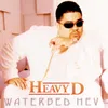 Waterbed Hev Album Version