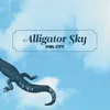 Alligator Sky Long Lost Sun Remix
