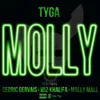 About Molly Song