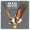 One Great Thing Big Baad Country Mix