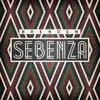 About Sebenza Song